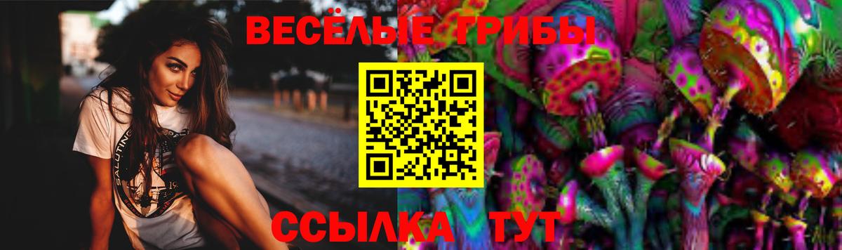Галлюциногенные грибы Cubensis Азов